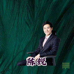 陈锐